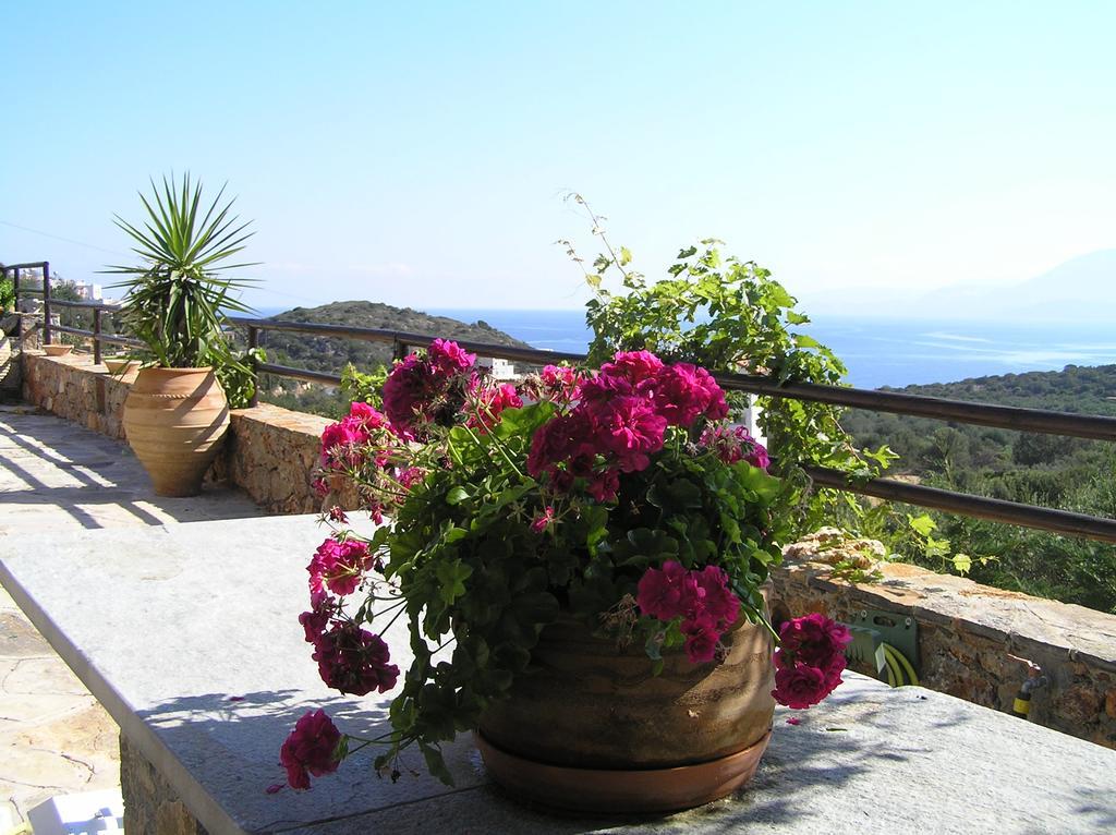 Fissi Villas Agritourism Accommodation Near The Sea Ágios Nikólaos Eksteriør billede